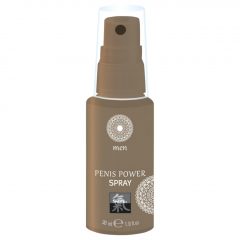   HOT Shiatsu Penis Power - stimulační intimní sprej pro muže (30 ml)